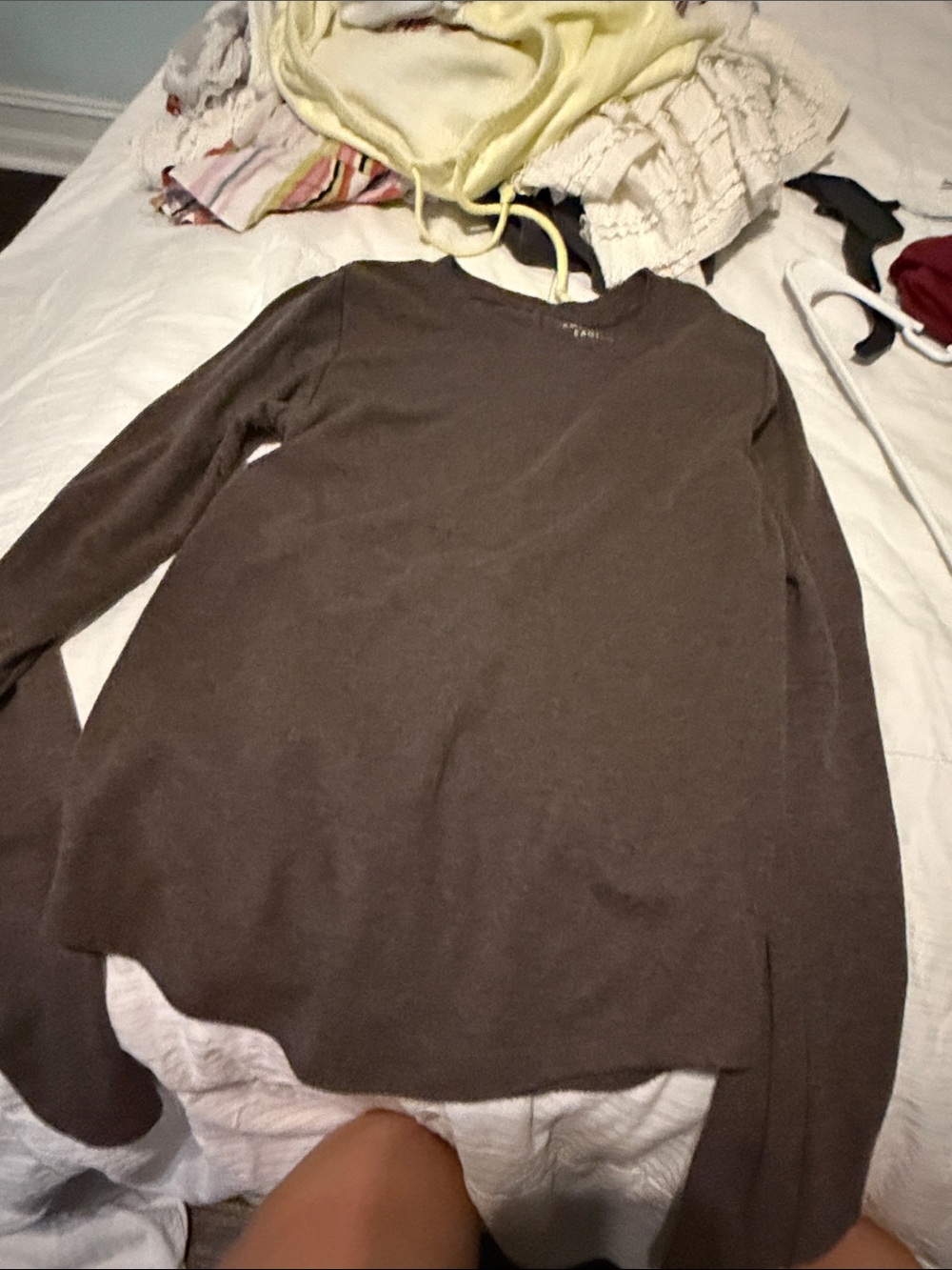 American Eagle Outfitters Brown Crewneck Sweater
